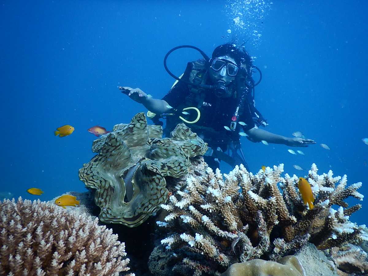 Shore Diving In Andaman